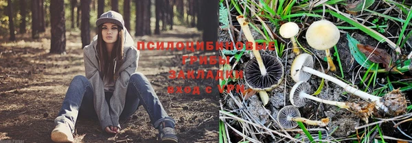 бутик Дмитриев