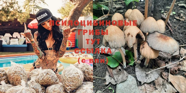 соль курить ск Дмитров