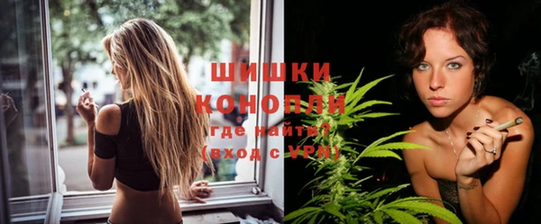 PSILOCYBIN Дмитровск