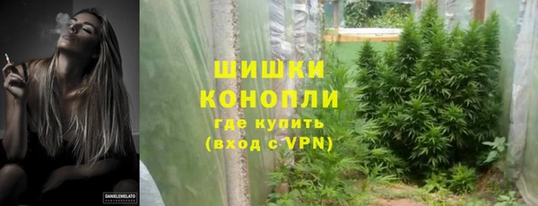 PSILOCYBIN Дмитровск